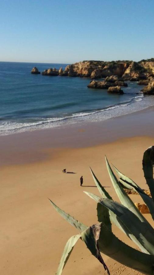 Apartamentos Praia Da Rocha Alex&Mila Vista Mar ポルティマン エクステリア 写真